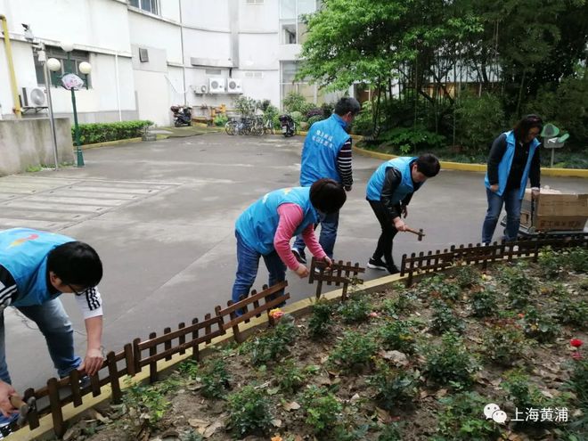 浩瀚体育快来选出你最喜欢的居民绿化原来身边有这么多绿化达人！(图9)