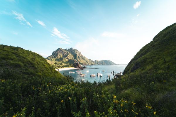 浩瀚体育平台城市绿化率排名(绿化率最高的城市)(图2)